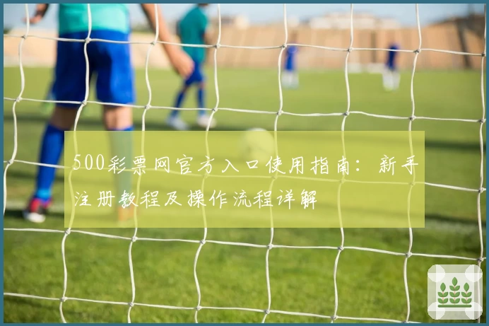 500彩票网官方入口使用指南：新手注册教程及操作流程详解