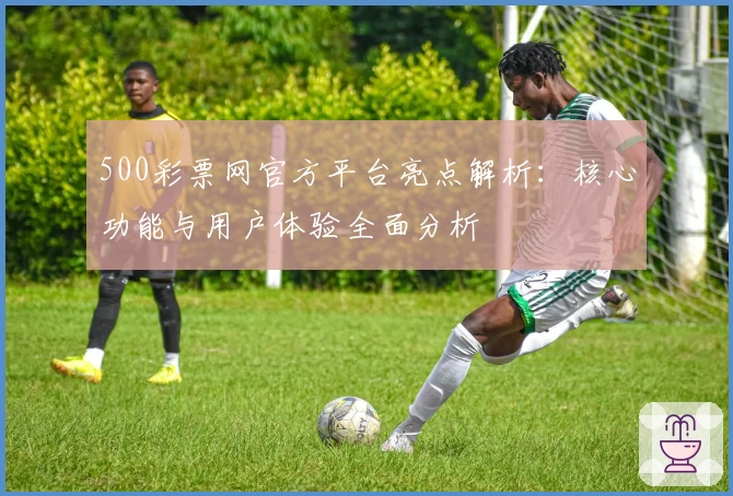 500彩票网官方平台亮点解析：核心功能与用户体验全面分析