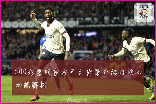 500彩票网官方平台背景介绍与核心功能解析